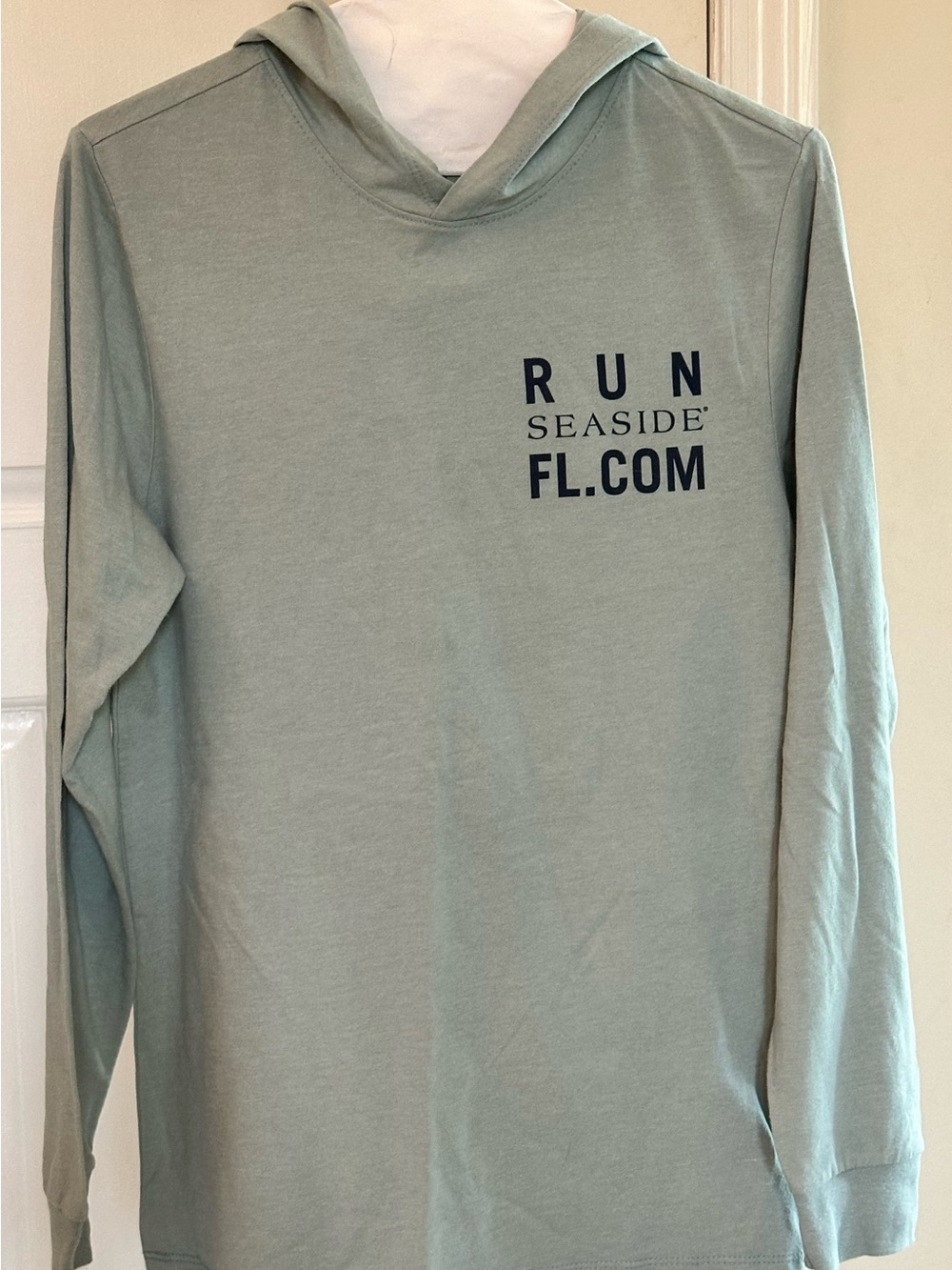 Beautiful Seaside FL, Women's Hooded Long-Sleeve Shirt - Seafoam green